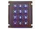 Industrieller Vandalen-beständiger Tastatur-Platten-Berg-numerische von hinten beleuchtete 12 Schlüssel IP67 wasserdicht